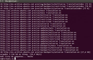 Como desinstalar un programa desde la Terminal en Ubuntu
