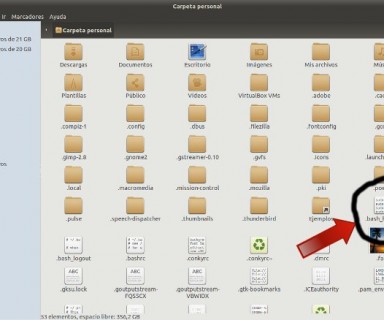 Como saber todos los comandos usados en la Terminal de Ubuntu