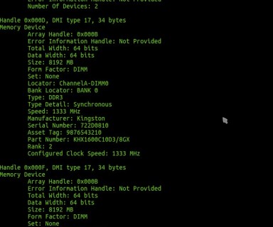 Como obtener informacion de la memoria RAM en Ubuntu