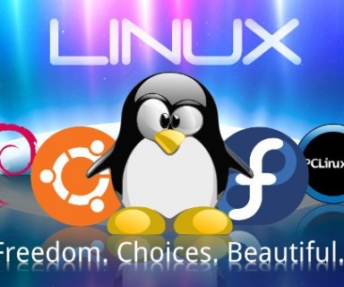 Por que elegir Linux