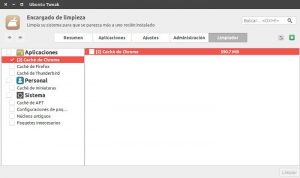 ¿Que es la caché del navegador? ¿La debes borrar?